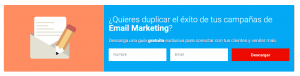 lead magnet email marketing